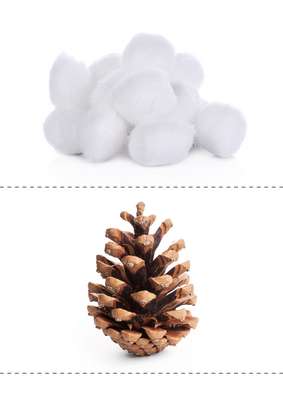 Log in to Maestro or Quick Teach | Cornerstones Education